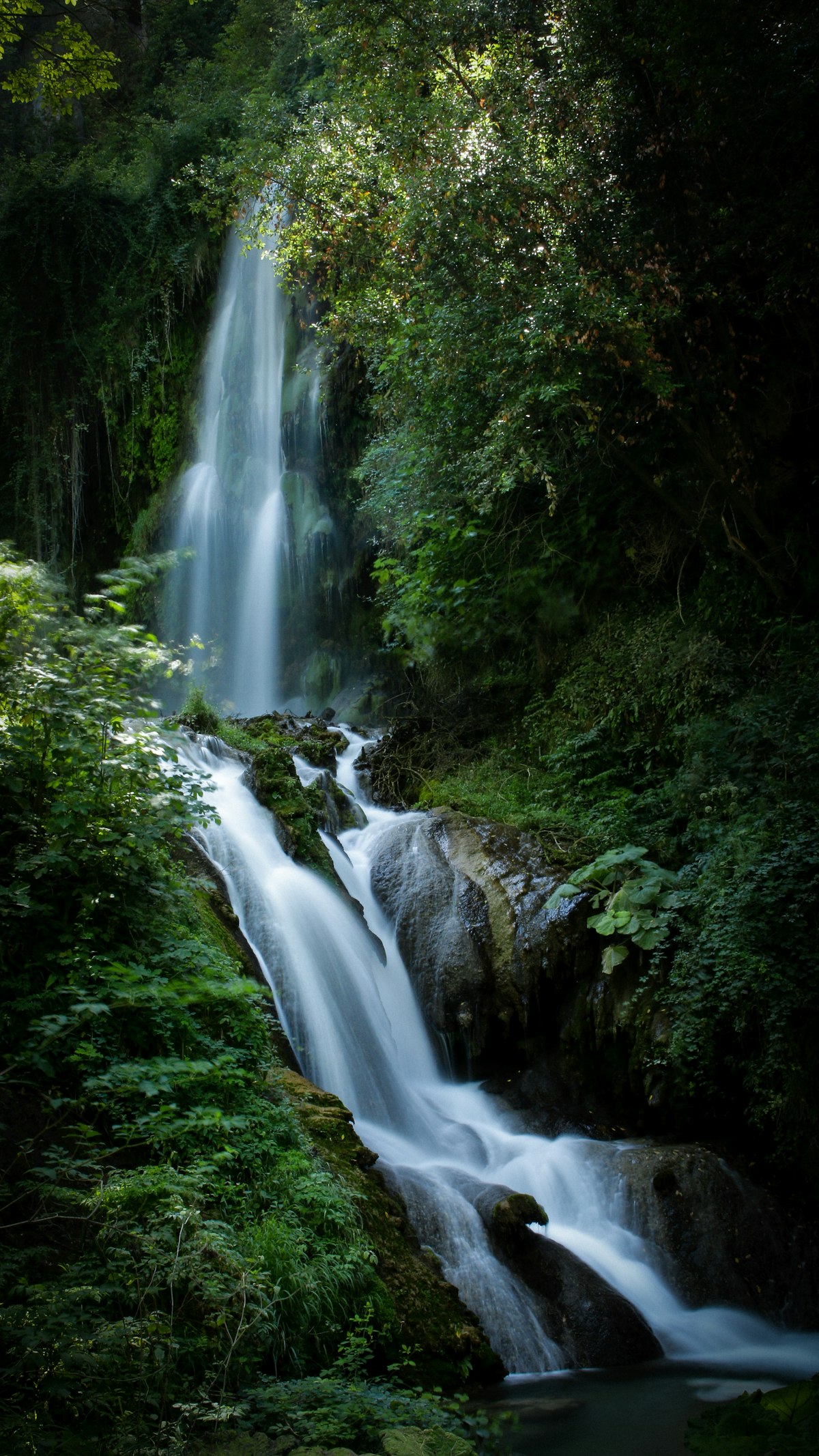 A forest waterfall — illustrative photo, not Lofoi Falls itself